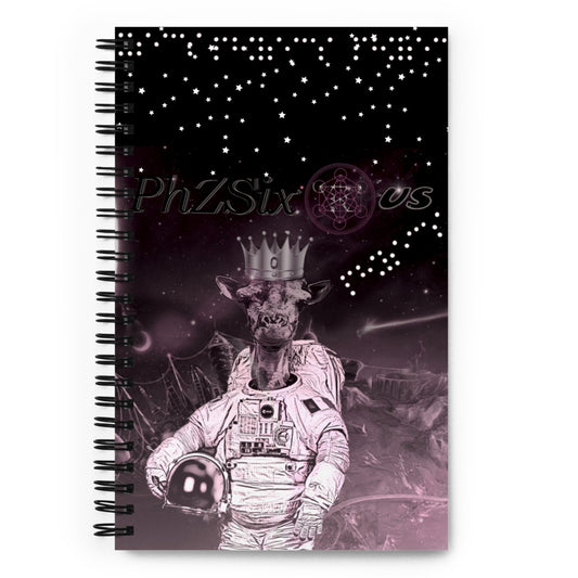 Spiral notebook